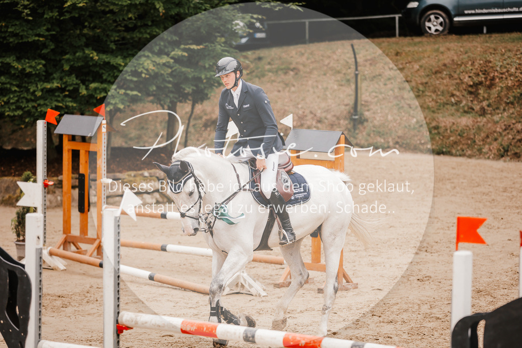 3I6A2295 | Stimmungsvolle Portraits und Reitsportfotografie im Ruhrgebiet und im Münsterland.

Pferdefotografie, Hundefotografie, Tierfotografie, Reportagen, Portraits von Tier und Mensch, Turnierfotografie in Bochum, Recklinghausen, Marl, Haltern am See, Dülmen.. - Realisiert mit Pictrs.com