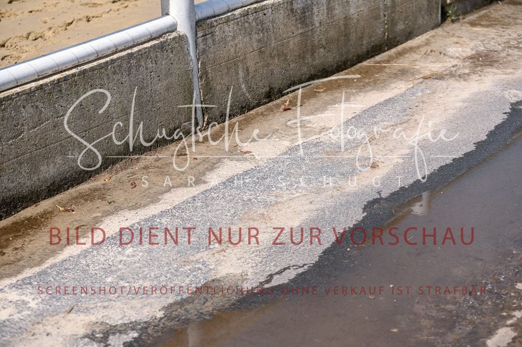 Schugtsche-Aluta25-58. Dressurprf.S1Kand.St.GeorgSpecial-125 | Schugtsche Fotografie - Realized with Pictrs.com