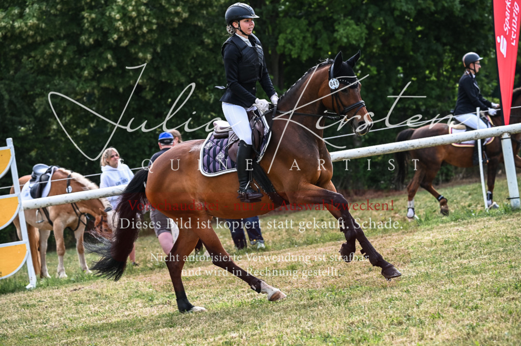 DSC_8416 | Pferde- und Turnierfotografie in Westsachsen. Pferdeportraits, Auftragszeichnungen und intuitive Kunst.