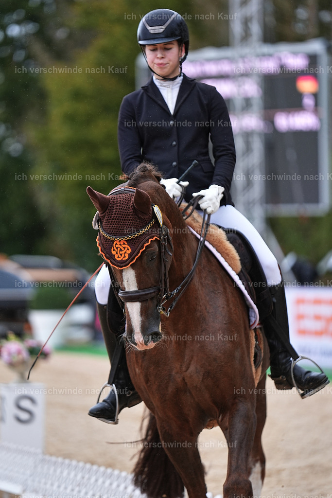 05-002-DRESSUR M_  -Marixx-4958 | working equitationturnier fotograf videograf stoibphotography marixx film working equitation deutschland reitsport turnierfotografie eventfotografie equestrian events