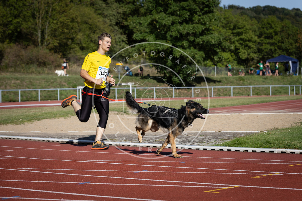 Pfotenfotografie_DV3A8320 | Hundefotografie, Tierfotograf, Pfotenfotografie, Fotoshooting Hund, Hunde Portrait, Hundesport, Hundeportraits, Heideshooting, Hunde, Sportfotograf, Hundefotograf, Turnierhundsport, THS,  - Realisiert mit Pictrs.com