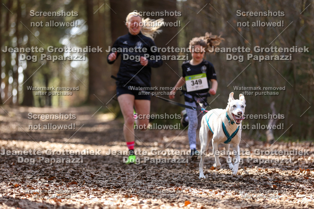 Dog Paparazzi - VCC26-1447 | Dog Paparazzi Jeanette Grottendiek Fotografie & Videografie - Realisiert mit Pictrs.com