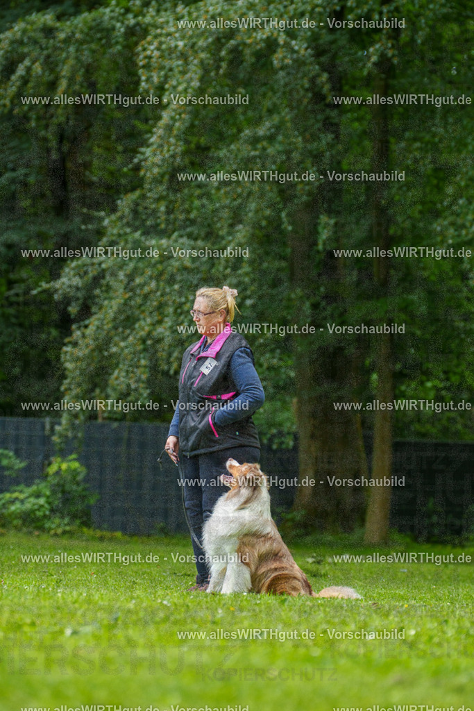 @allesWIRTHgut_Tierfotografie - www.allesWIRTHgut.de - 7R501225 | Professionelle Tierfotografie in Mönchengladbach von Daniel Wirth (allesWIRTHgut). Liebevolle & natürliche Bilder von Hunden & Katzen für unvergessliche Erinnerungen.