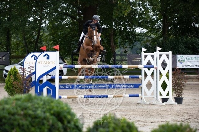 2B4A2399 | pixelfaenger - Realisiert mit Pictrs.com