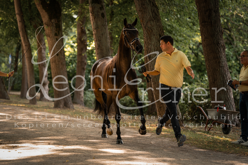 FrPfM00211 | Leoni Ertmer Photography - Realisiert mit Pictrs.com