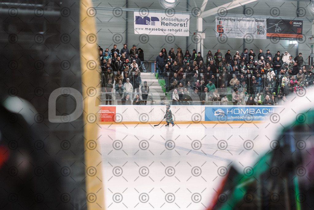 Alligators_vs_Stuttgart_16_11_2025-27 | Höchstadt Alligators Fotogalerie: Eishockey-Action aus Franken. Professionelle Spielfotos, Portraits & Stadionbilder zum Download. Jetzt entdecken! - Realisiert mit Pictrs.com