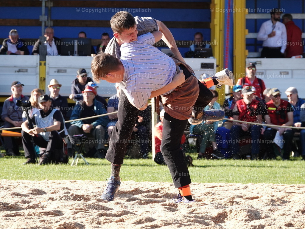 DSC07341 | Schwingen - Realisiert mit Pictrs.com