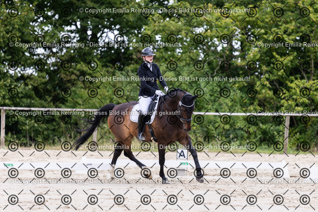 CL5A1997 | Emilia Reinking Fotografie - Realisiert mit Pictrs.com