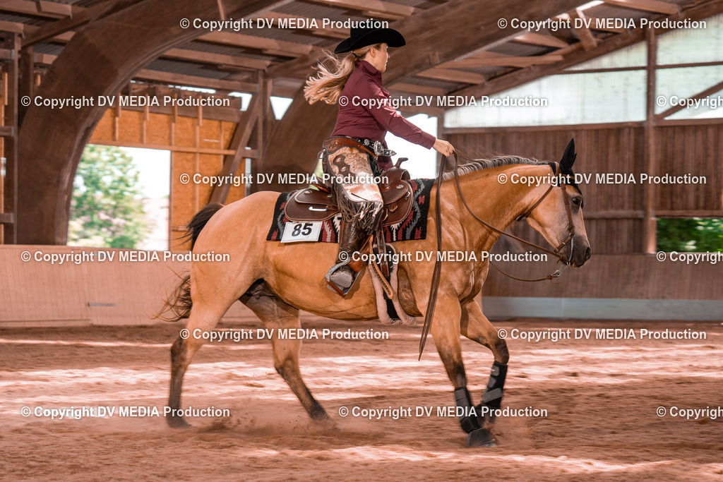 NE100702 | dv-media-shop - Realisiert mit Pictrs.com