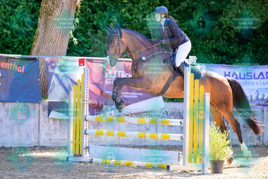 29082026-Giesenbach-Prfg10-0708 | Fokus Hufschlag Fotografie - Realisiert mit Pictrs.com