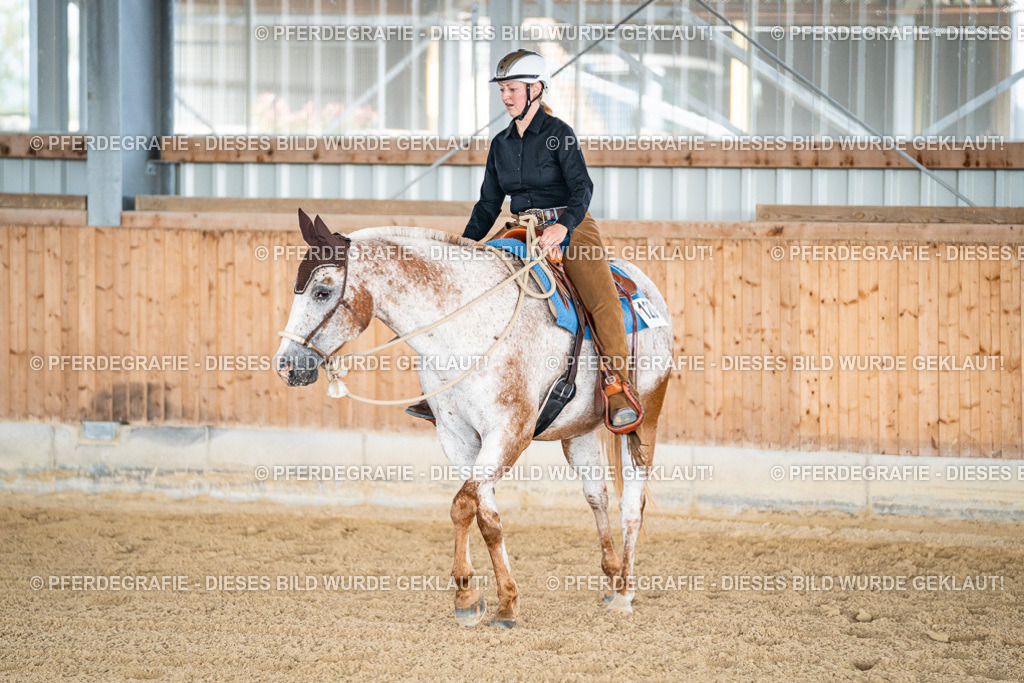 DSC08581 | Pferdegrafie