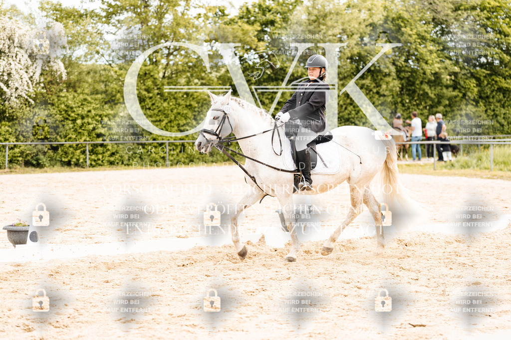 CK904752 | Turnierfotografie Pferdefotografie Trier Rheinland-Pfalz Pferdesport Reitsport Tierfotografie Sportfotografie Pferdevideo Pferdevideografie Equestrianvideography equestrianphotography  - Realisiert mit Pictrs.com