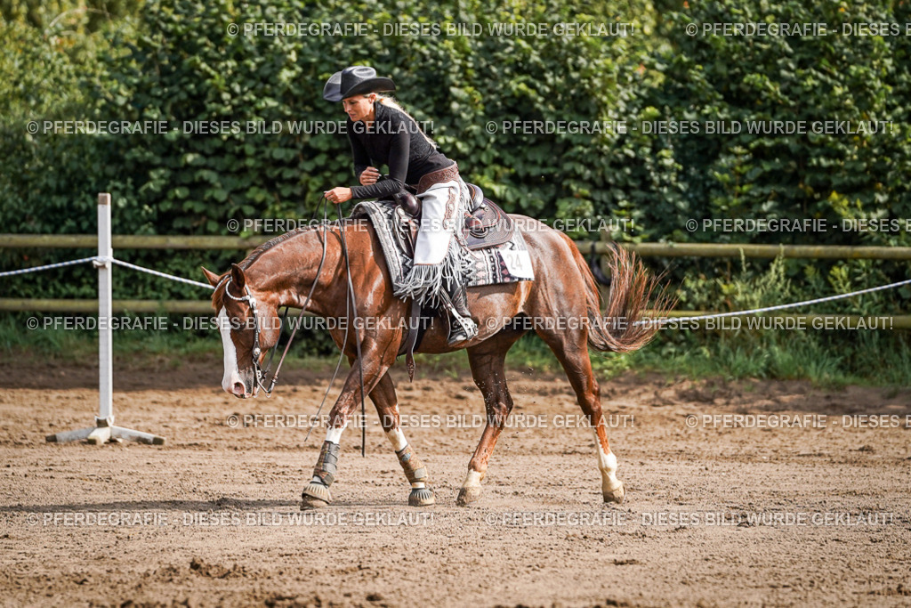 DSC09669 | Pferdegrafie