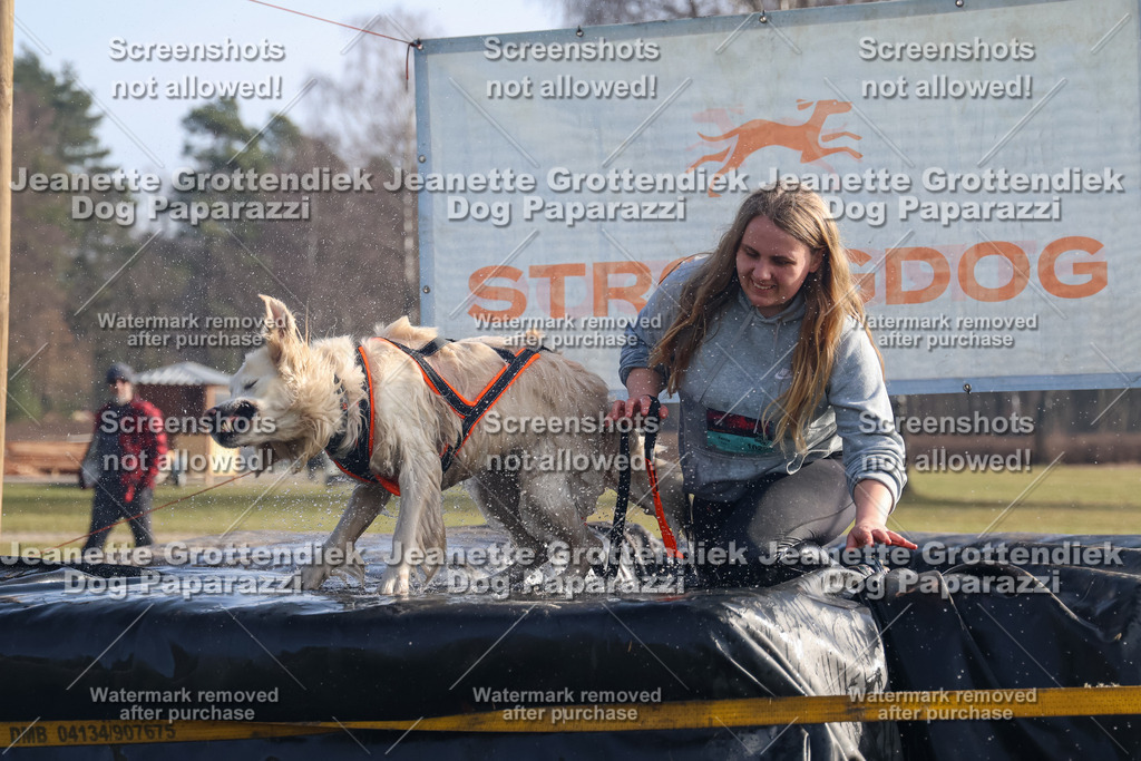 Dog Paparazzi - Strongdog North Mrz26-685 | Dog Paparazzi Jeanette Grottendiek Fotografie & Videografie - Realisiert mit Pictrs.com