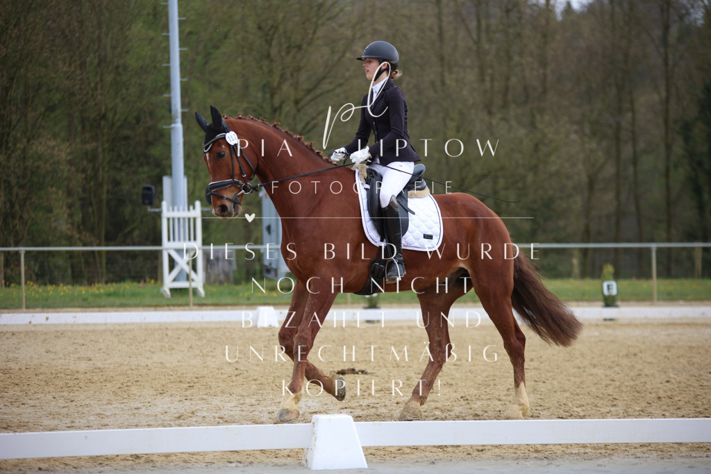 IMGT7326 | pl-fotografie