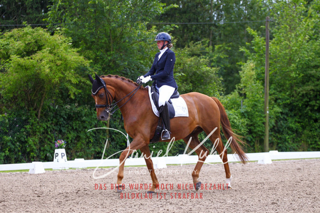 DKP41224 | Turnierfotos kaufen im Webshop von Daniel Kuhl Photography – entdecke professionelle Reitsportfotos aus Turnieren & Events. Hochwertige Turnierbilder online bestellen & sichern. Jetzt Fotos von Reitsportturnieren kaufen!