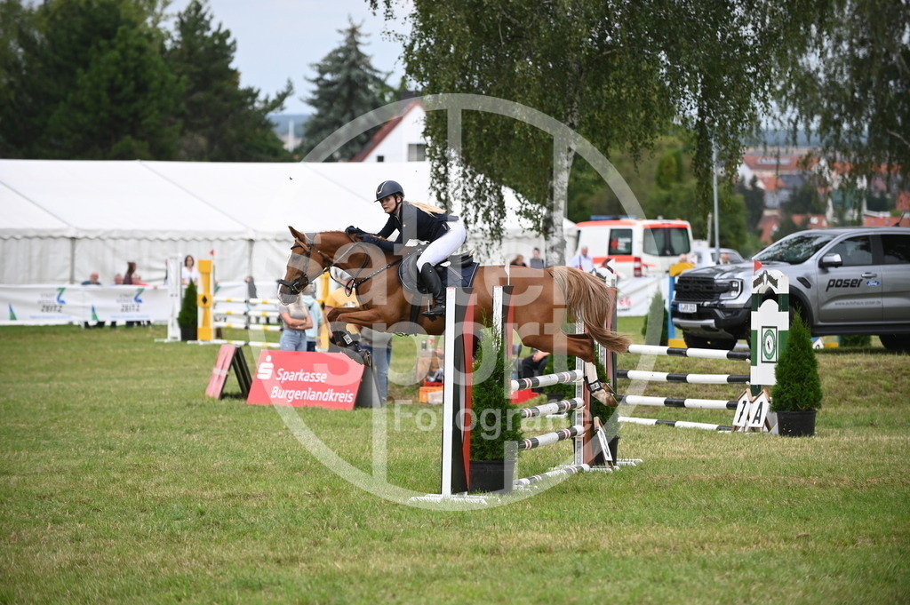 DSC_1890 | sattelsport - Realisiert mit Pictrs.com