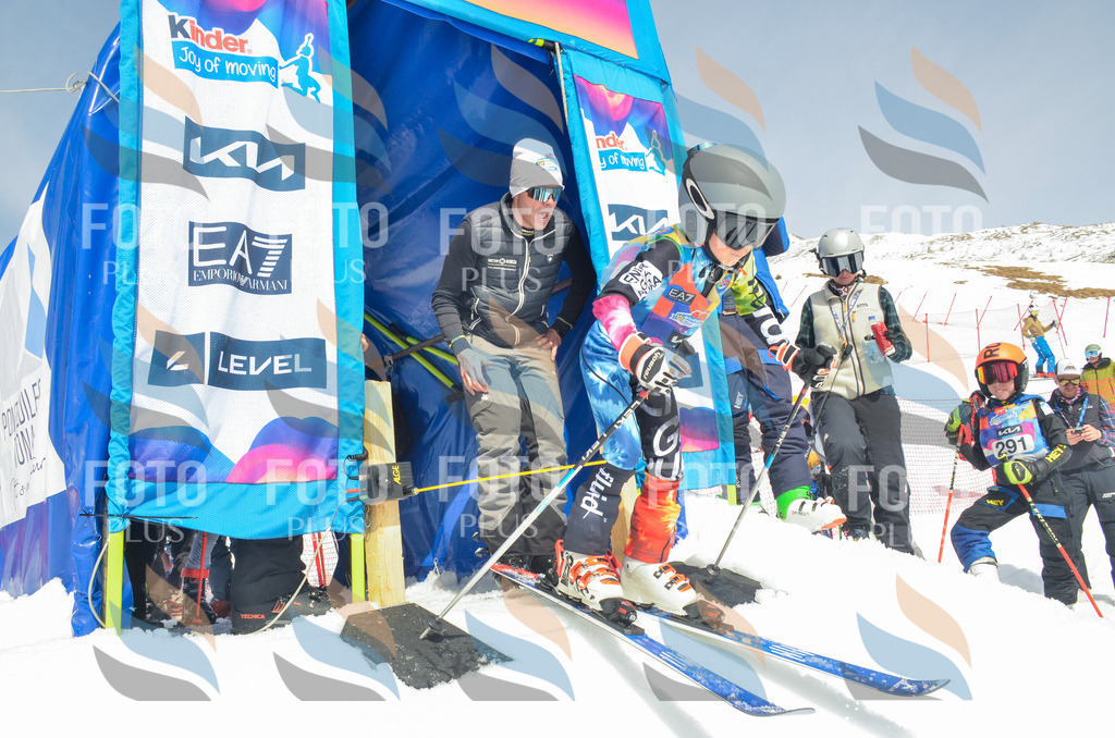 _ELE7429 | holidayphoto