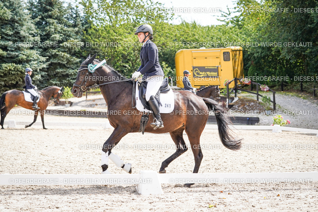 DSC02352 | Pferdegrafie