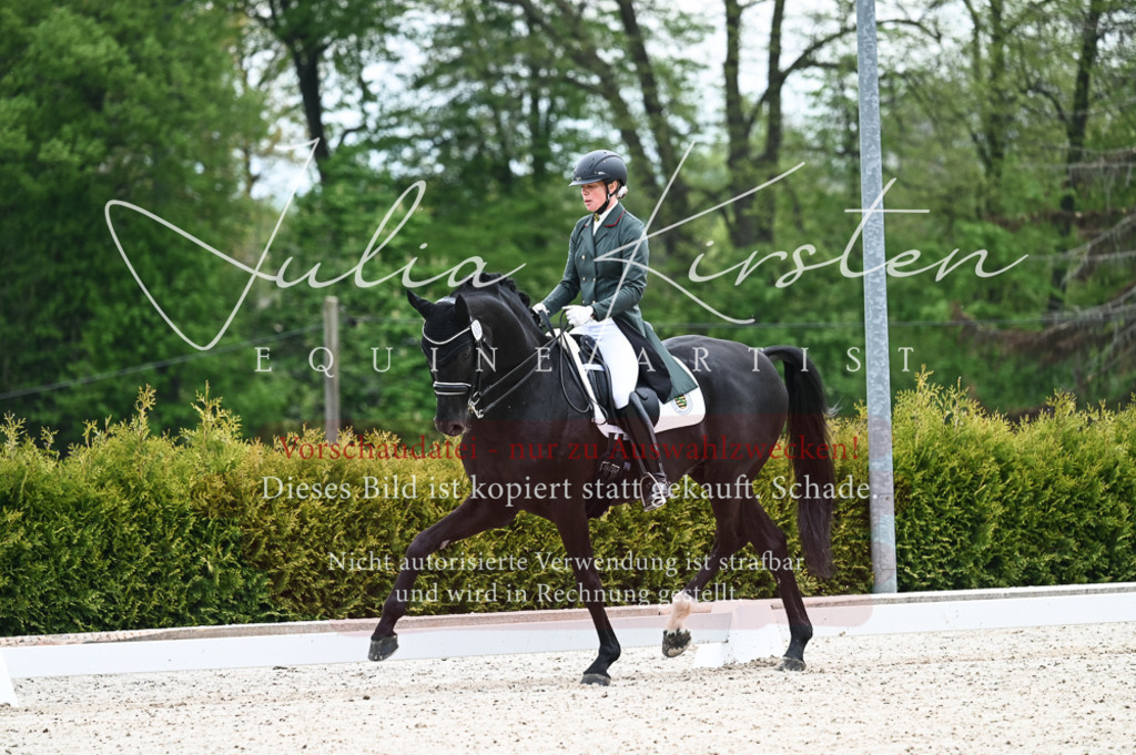 20230513_JK-Röhrsdorf-12-002-2 | Pferde- und Turnierfotografie in Westsachsen. Pferdeportraits, Auftragszeichnungen und intuitive Kunst.