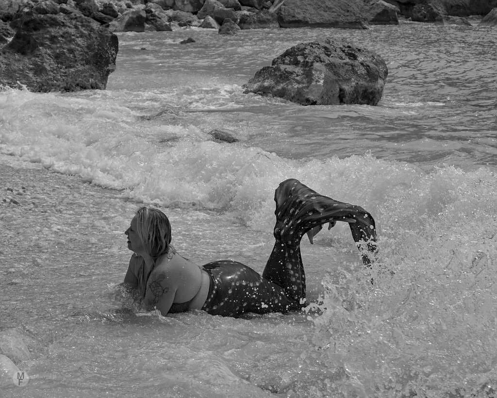 2026-05-06-131436_DSC00227_01 | mf-portrait - Realisiert mit Pictrs.com