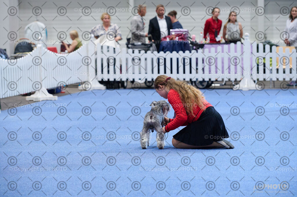 202406_ÖKV-IHA-Tulln24_DSC_4726 | proPHOTO - Realisiert mit Pictrs.com