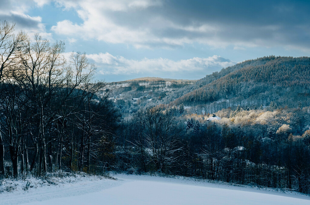 Wintertraum in Bad Gottleuba | Fotografie, Dresden, Marcus Wagner, Landschaftsfotografie, Tierfotografie, Architekturfotografie - Realisiert mit Pictrs.com