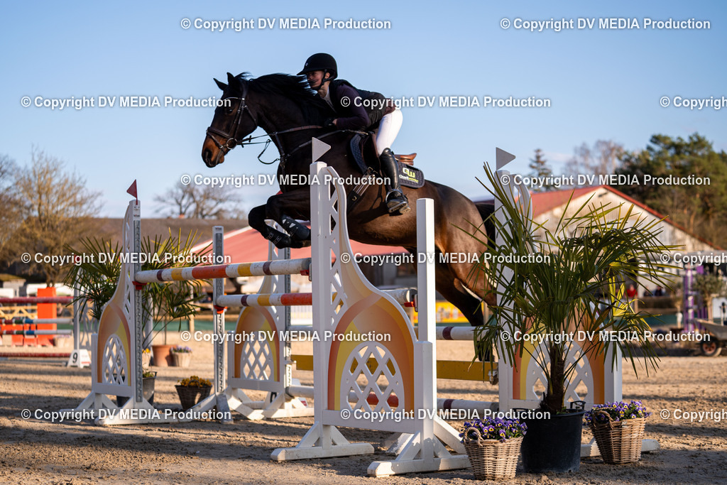 Kranichstein Tag 2-1096 | dv-media-shop - Realisiert mit Pictrs.com