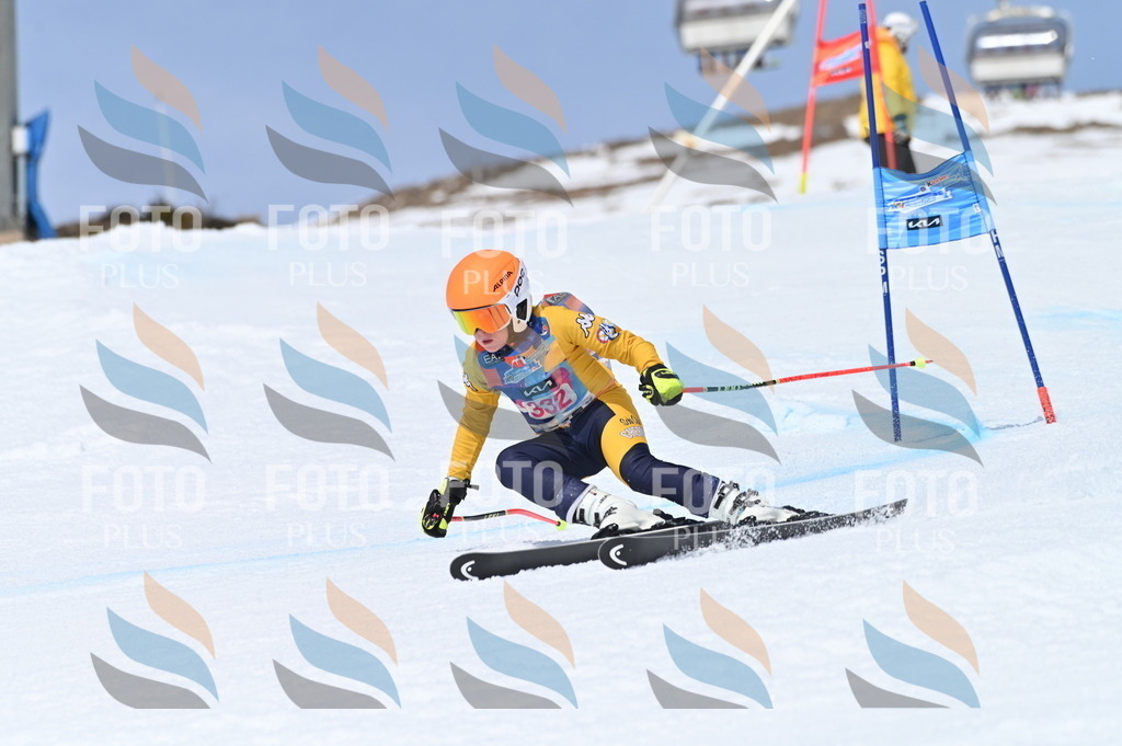 BGV_3325 | holidayphoto