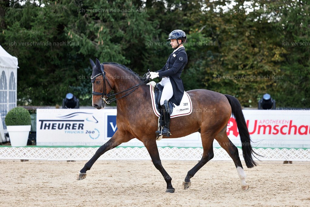 10-207-ST.GEORG SPECIAL -StoibPH-3264 | working equitationturnier fotograf videograf stoibphotography marixx film working equitation deutschland reitsport turnierfotografie eventfotografie equestrian events