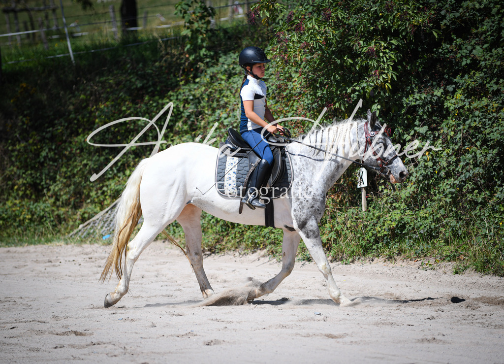 DSC_0848 | anikahuebner - Realisiert mit Pictrs.com