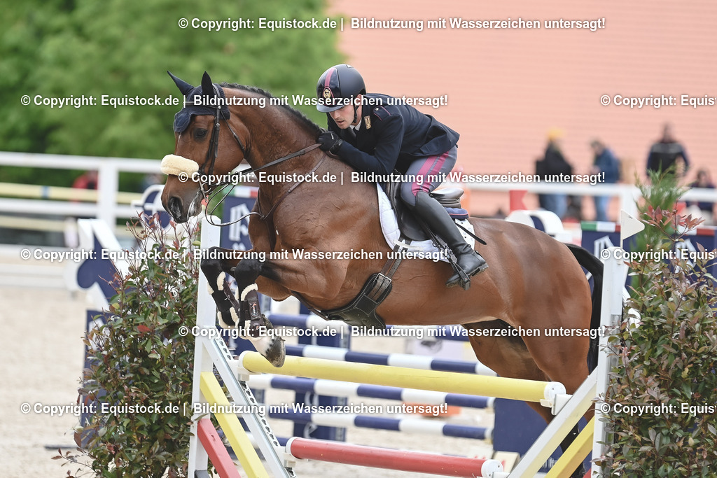 20230514_CCI4_Springen_0138 | equistock