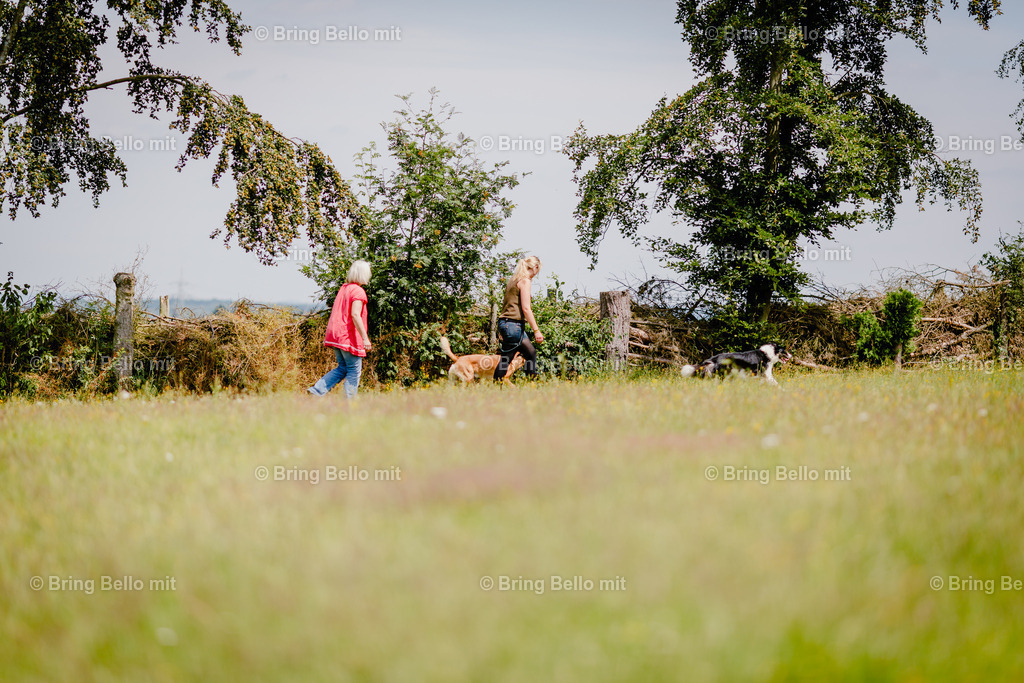 IMG_7911 | Bing Bello mit!  - Realisiert mit Pictrs.com