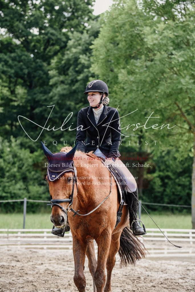 DSC_1616 | Pferde- und Turnierfotografie in Westsachsen. Pferdeportraits, Auftragszeichnungen und intuitive Kunst.