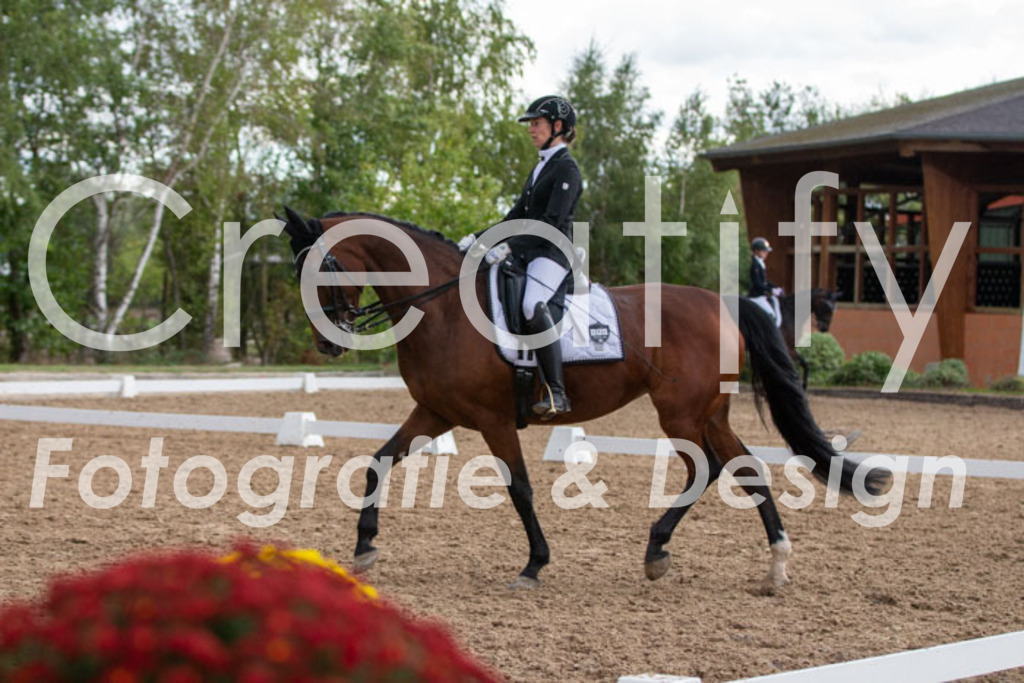 IMG_5679 | Creatify Fotografie