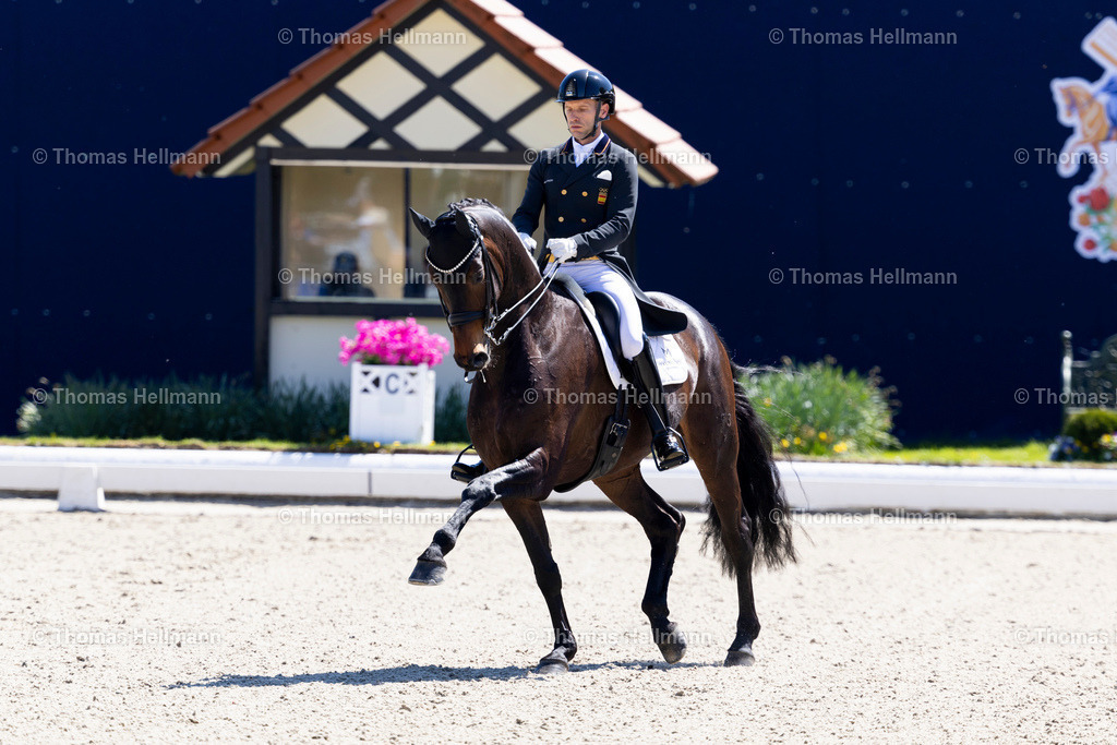 TH_558_Manolo_ Borja Carrascosa_27911 | Horses &amp; Dreams 2025 am 27.04.25 in Hagen a.T.W., Thomas Hellmann, 558