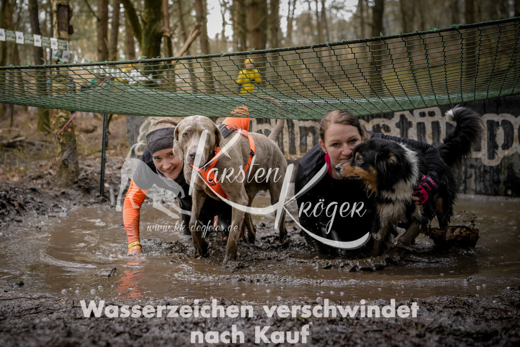 1003_ZZ99246 | kk-dogfotos