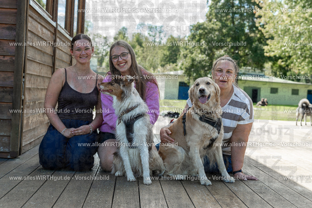 Hundeschwimmen_Volksbad_2026-allesWIRTHgut_Tierfotografie-2609061421-7R501045 | Professionelle Tierfotografie in Mönchengladbach von Daniel Wirth (allesWIRTHgut). Liebevolle & natürliche Bilder von Hunden & Katzen für unvergessliche Erinnerungen.