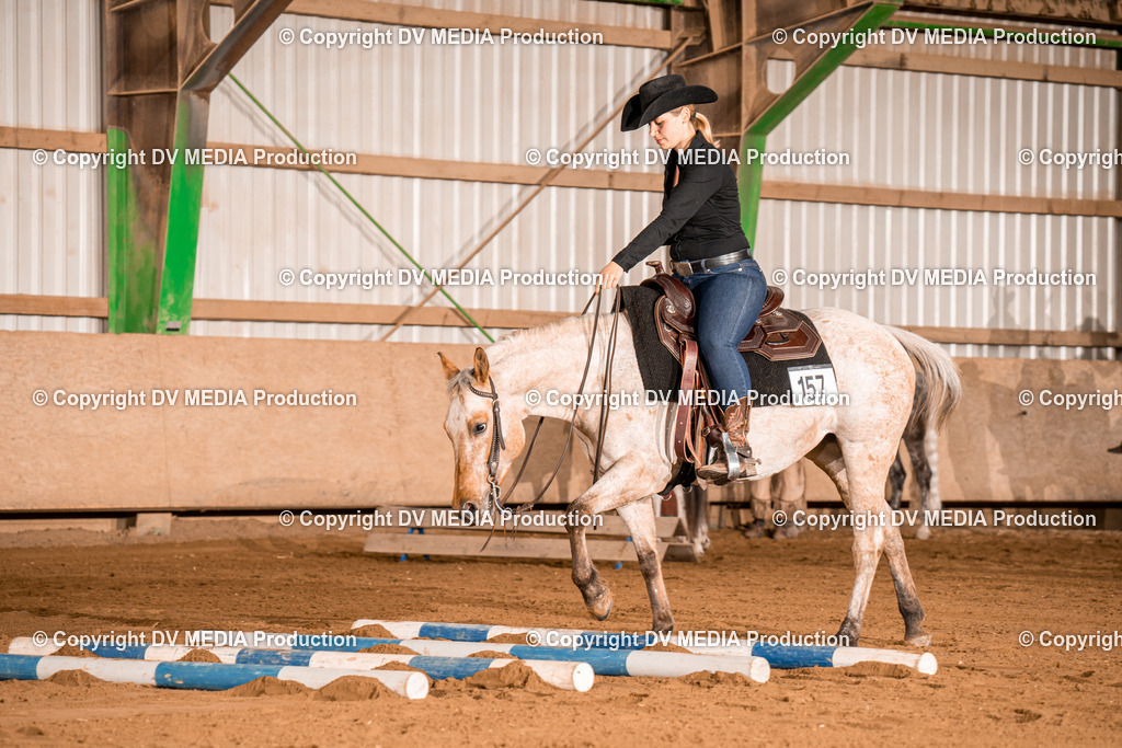 BA400300 | dv-media-shop - Realisiert mit Pictrs.com