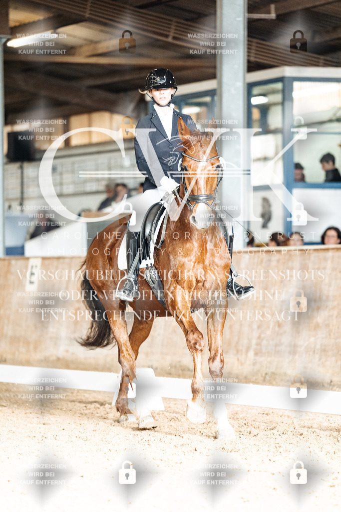 CK902437 | Turnierfotografie Pferdefotografie Trier Rheinland-Pfalz Pferdesport Reitsport Tierfotografie Sportfotografie Pferdevideo Pferdevideografie Equestrianvideography equestrianphotography  - Realisiert mit Pictrs.com