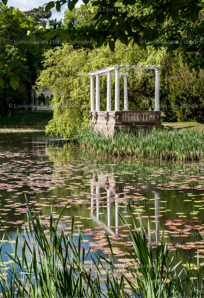 10049-1635 - Stadtpark Tangerhütte | Stockfoto und Bilderpool mit Bildmaterial aus Deutschland, dem Harz, Halberstadt, Quedlinburg, Wernigerode und weltweit. Qualitativ hochwertige und professionelle Fotos anschauen und kaufen. - Realisiert mit Pictrs.com