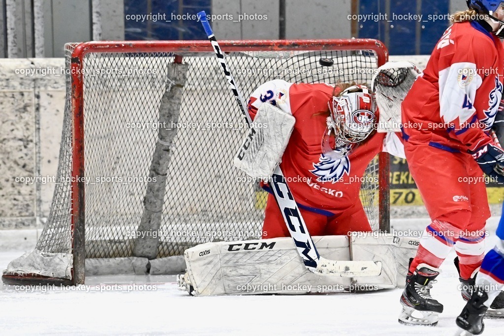 BST_5854 | hockey sports photos, Pressefotos, Sportfotos, hockey247, win 2day icehockeyleague, Handball Austria, Floorball Austria, ÖVV, Kärntner Eishockeyverband, KEHV, KFV, Kärntner Fussballverband, Österreichischer Volleyballverband, Alps Hockey League, ÖFB, 