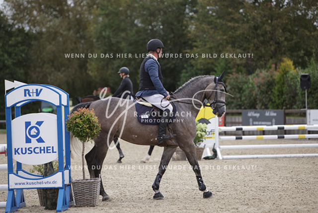 1J2A2081Claas Christoph Gröpper_ Cellarimo_ Kn181_ Havekost | Foto- und Videografie für alles rund ums Pferd. Hochwertige Bilder und Videos vom Spring- und Dressurreiten, Voltigieren & mehr. Jetzt aktuelle Veranstaltungen und Preise im Shop ansehen. - Realisiert mit Pictrs.com