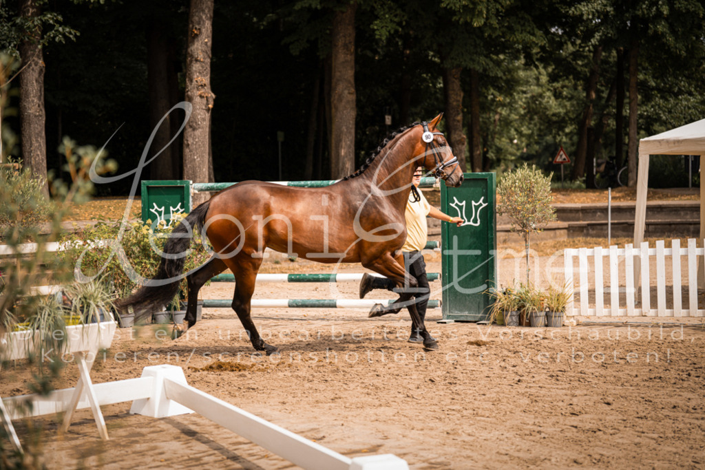 6.Fr00066 | Leoni Ertmer Photography - Realisiert mit Pictrs.com