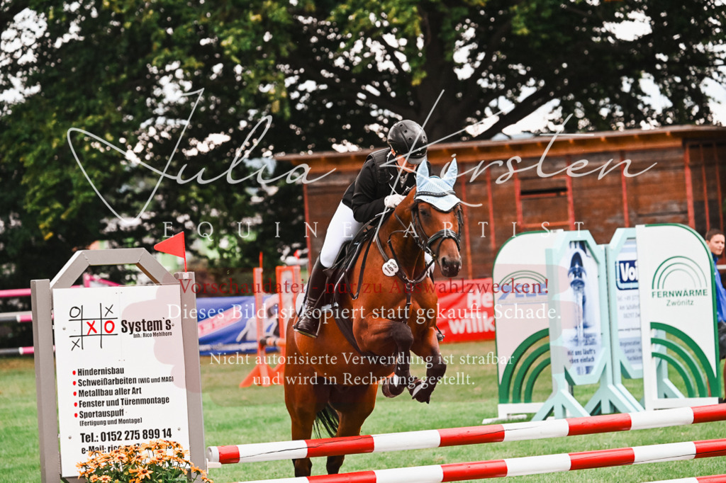 DSC_6052 | Pferde- und Turnierfotografie in Westsachsen. Pferdeportraits, Auftragszeichnungen und intuitive Kunst.