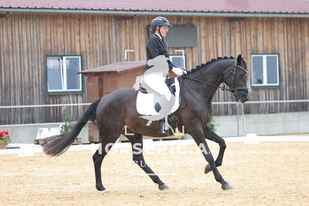 0P6A9493 | Willkommen bei Brunnmayr - Design & Fotografie – Ihrem Spezialisten für Reitturniere und Pferdeveranstaltungen in Oberösterreich, Salzburg und Bayern! Seit über 17 Jahren sind wir leidenschaftlich dabei.