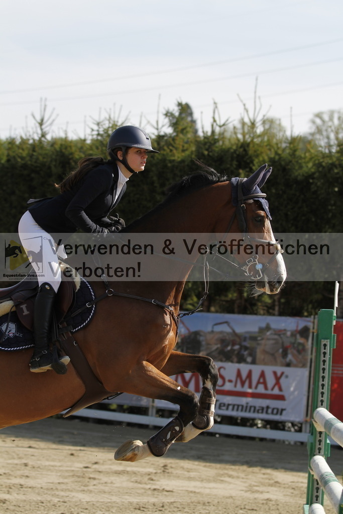 _MG_9230 | equestrian-live-com