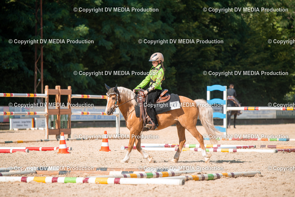 EWP_6953 | dv-media-shop - Realisiert mit Pictrs.com