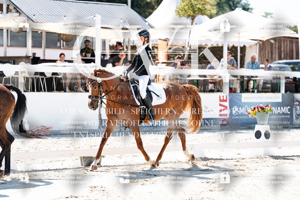 CK902260 | Turnierfotografie Pferdefotografie Trier Rheinland-Pfalz Pferdesport Reitsport Tierfotografie Sportfotografie Pferdevideo Pferdevideografie Equestrianvideography equestrianphotography  - Realisiert mit Pictrs.com