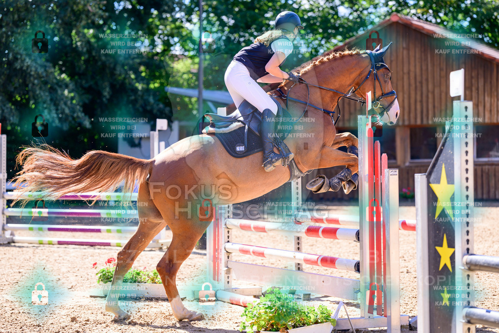 29082026-Giesenbach-Prfg10-0090 | Fokus Hufschlag Fotografie - Realisiert mit Pictrs.com